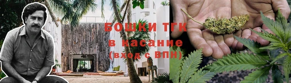 метадон Сафоново
