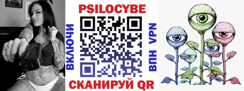 Псилоцибиновые грибы ЛСД  hydra вход  Приозерск 